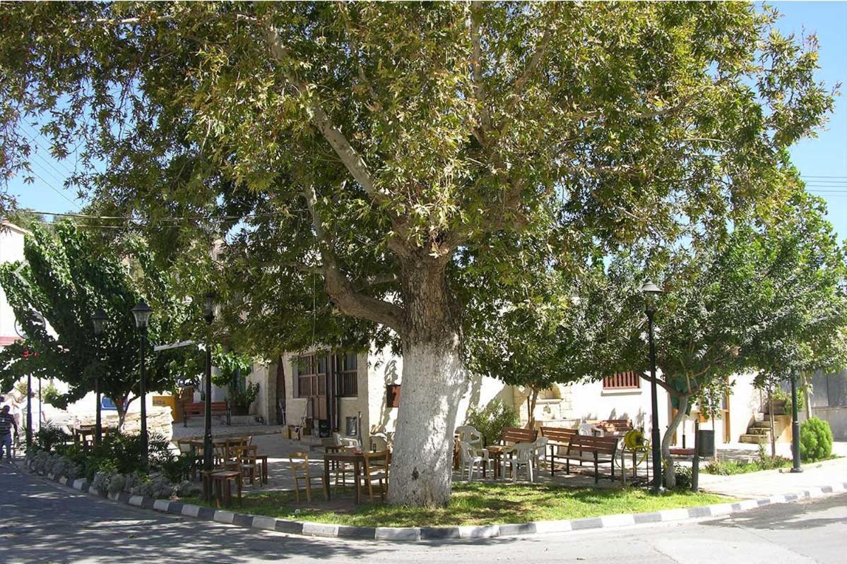 Avalon Village Houses Limassol Exteriör bild
